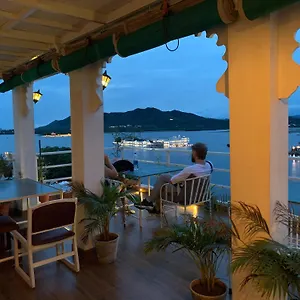 Peacock - View In Udaipur